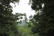 54-IMG_5108