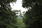 55-IMG_5107