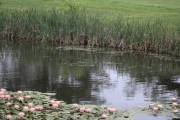 62-IMG_5030