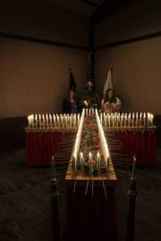 43-IMG_7752