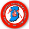 Indiana Volunteer Firefighters Association